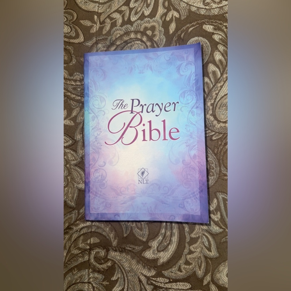 Prayer Bible by Jean Syswerda (2003, Trade Paperback)